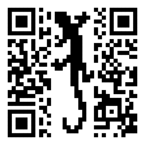 Pixel QR logo